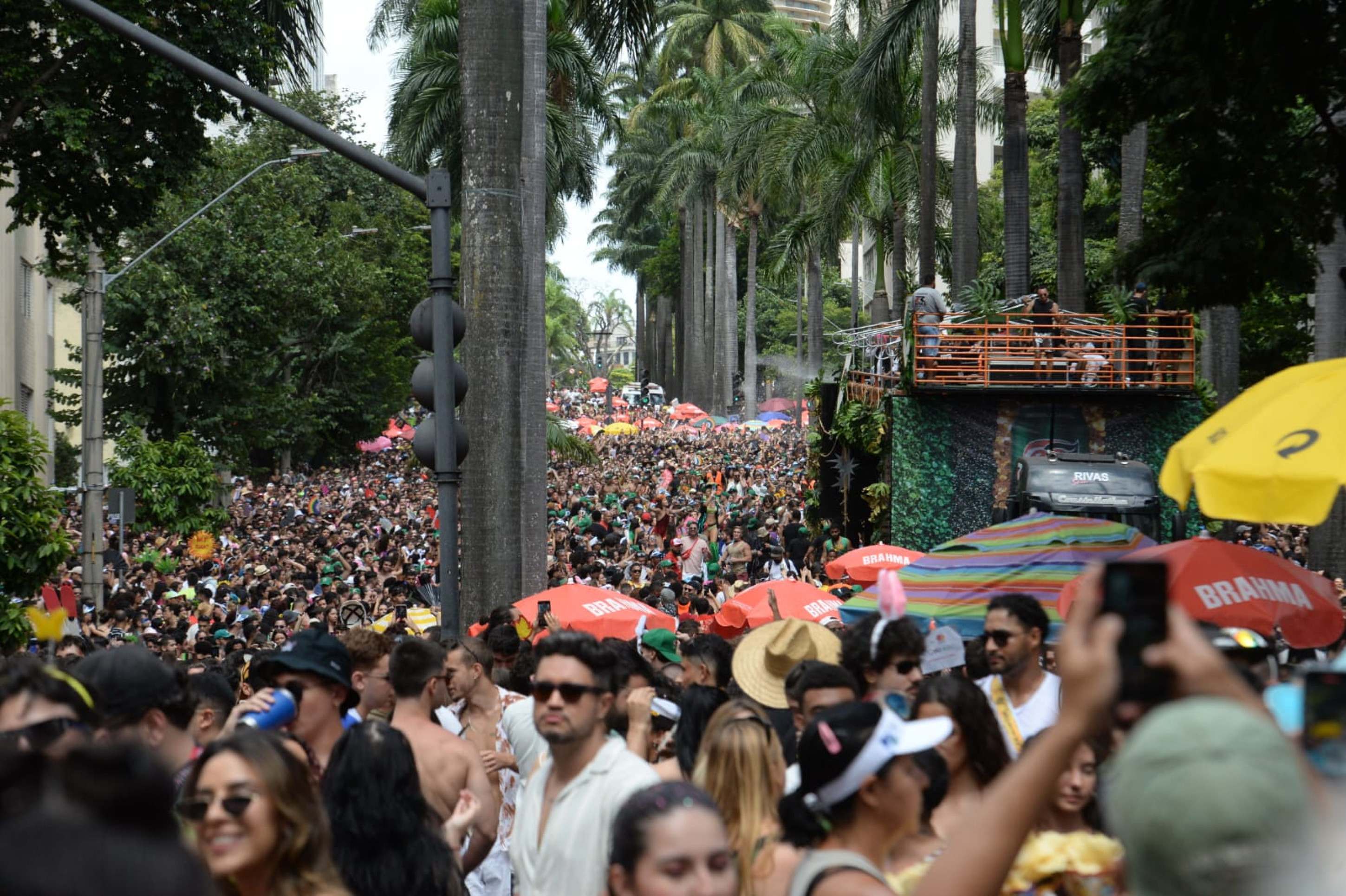 Na sua segunda edição o bloco arrastou milhares de foliões na Av Brasil neste domingo-Tulio Santos/EM/DAPRESS