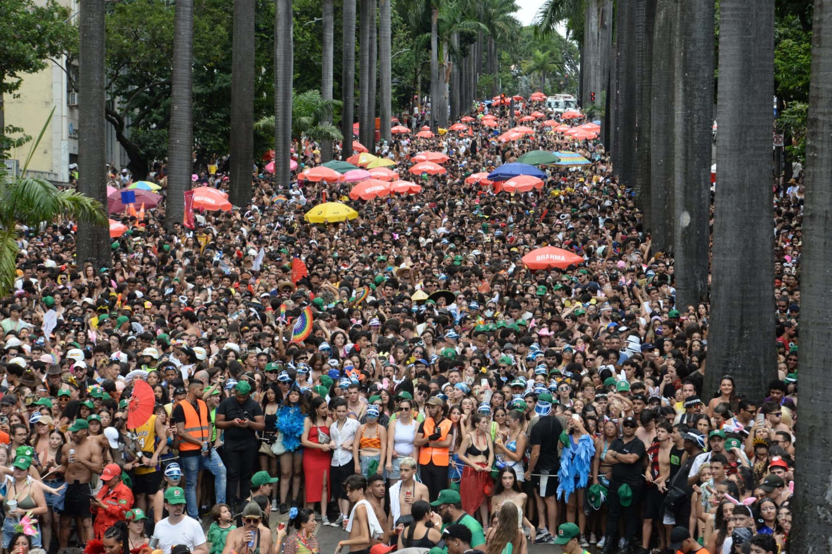 Na sua segunda edição o bloco arrastou milhares de foliões na Av Brasil neste domingo-Tulio Santos/EM/DAPRESS