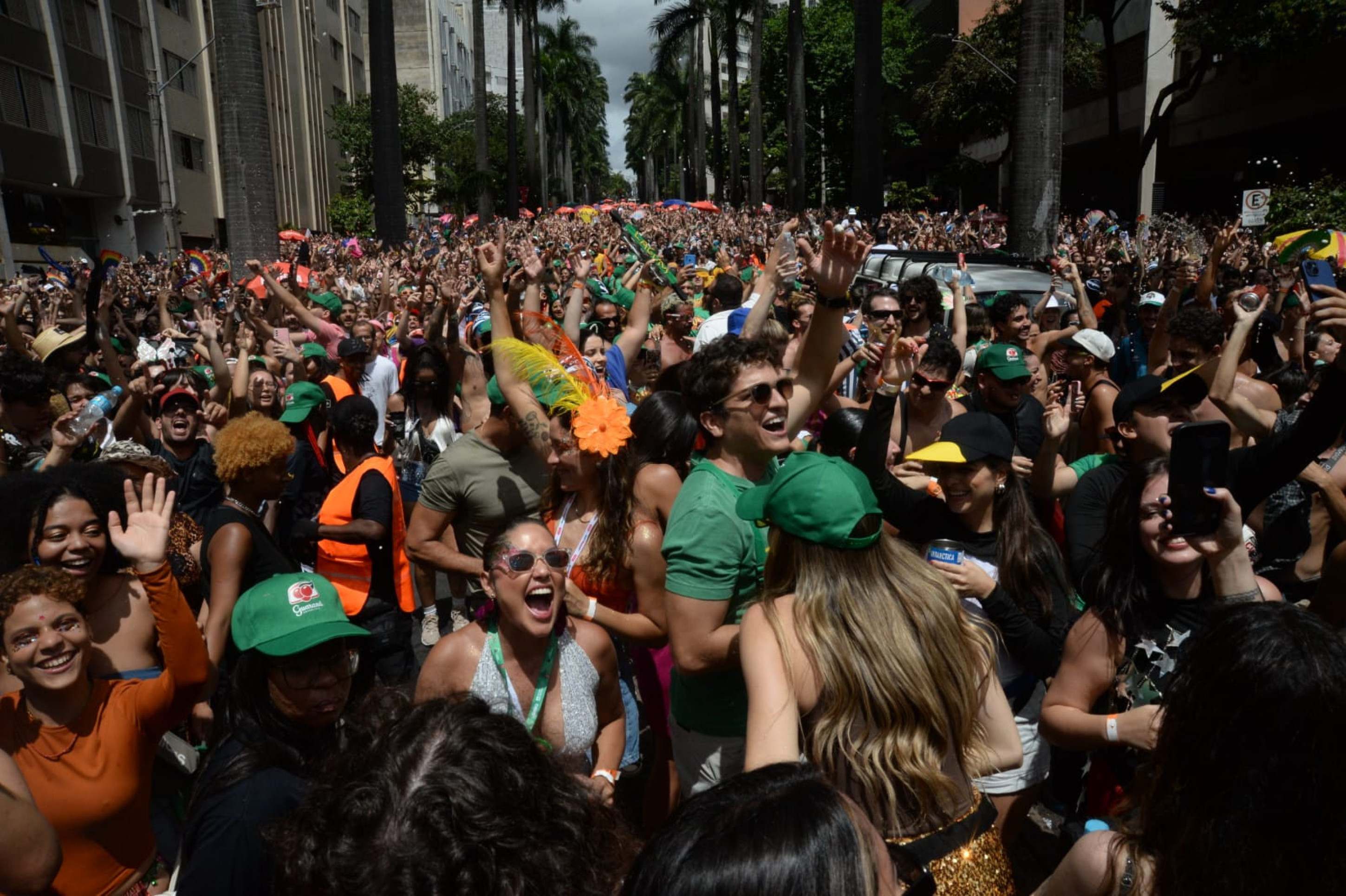 Na sua segunda edição o bloco arrastou milhares de foliões na Av Brasil neste domingo-Tulio Santos/EM/DAPRESS
