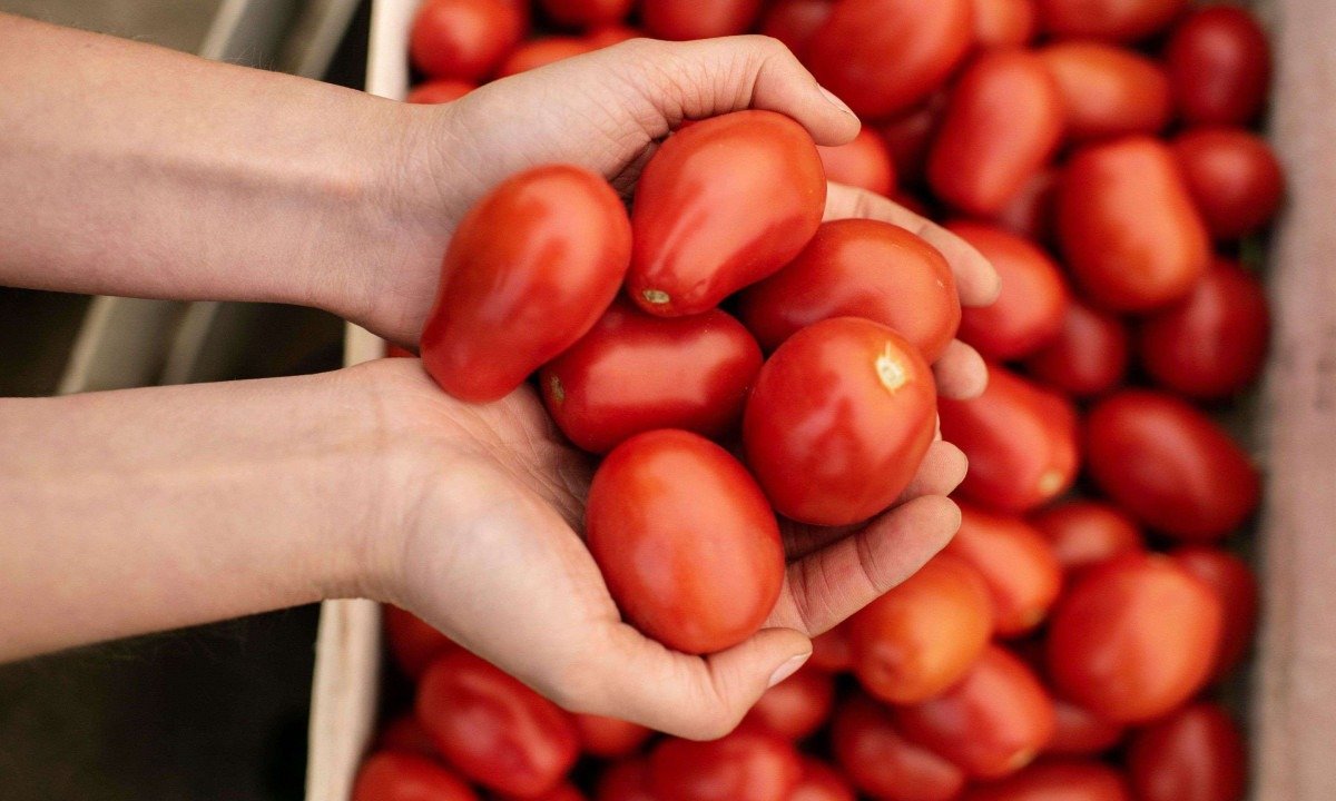 Fugini explica tecnologia do molho de tomate sem conservante -  (crédito: DINO)