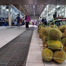 Parece gás: Fruta asiática é tão fedorenta que aciona alarme de aviões - Mx. Granger - WIKI COMMONS