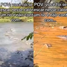 Sucuri gigante assusta grupo de turistas em Goiás - montagem/reprodução/tiktok 