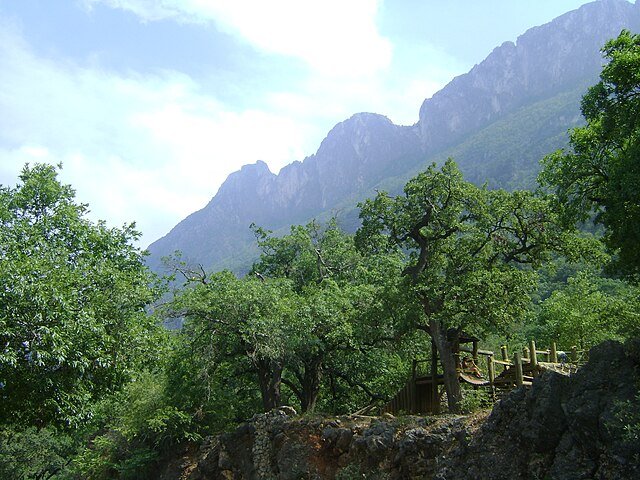 O caso aconteceu no Parque Ecológico Chipinque, em Monterrey, no nordeste do México. 