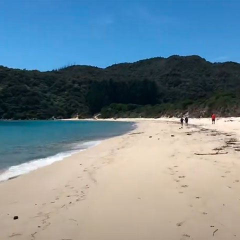 A praia de Awaroa está no Parque Nacional Abel Tasman, na Ilha do Sul da Nova Zelândia. Ela é cercada por mata nativa. Inclusive, a maioria dos visitantes vai para caminhar pelas florestas e para curtir esportes náuticos.