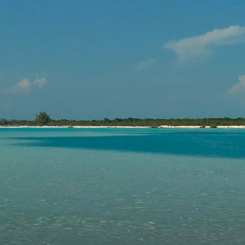 Localizada em uma pequena ilha próxima à costa sul de Cuba, a praia de areia fina e águas cristalinas parece intocável há séculos. As águas são mornas e calmas, com muitos peixes, iguanas e tartarugas marinhas gigantes. 