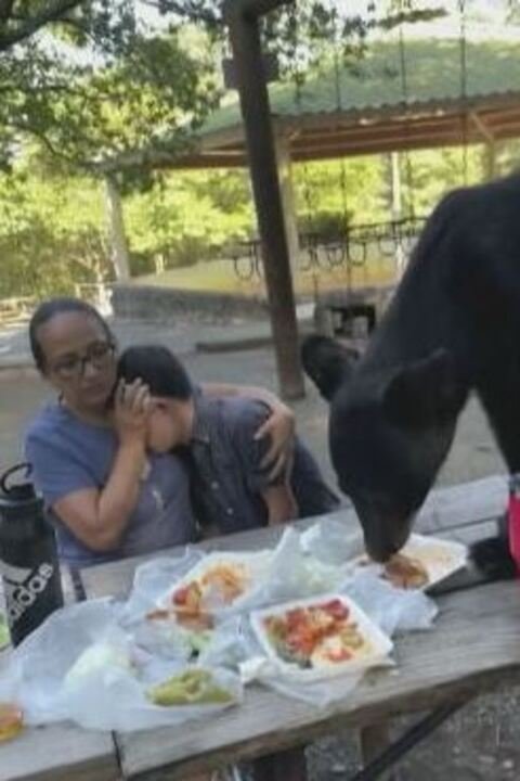 Uma mulher com o filho ficou quieta sem esboçar qualquer reação e cobriu o rosto da criança, enquanto o urso comia o lanche.