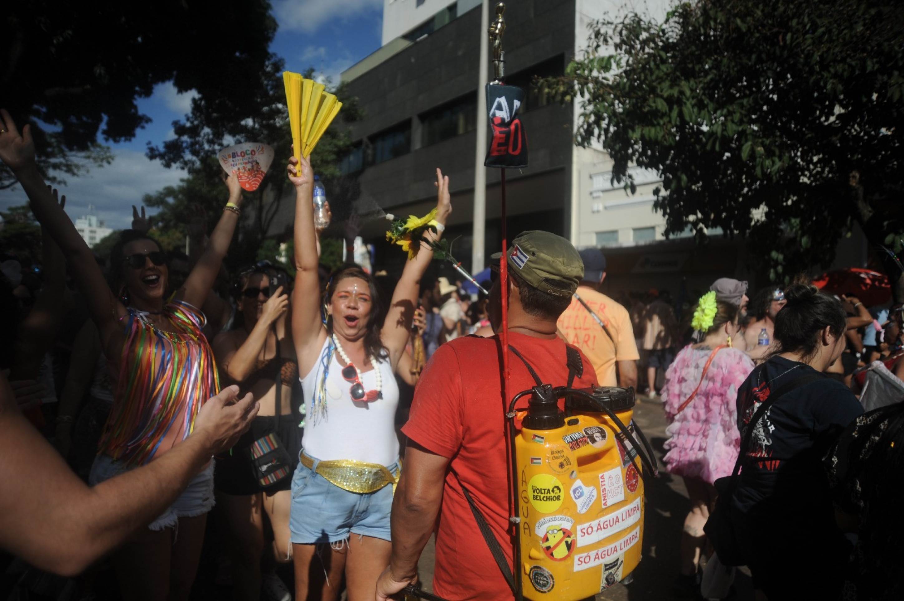 O Bloco Alcova Libertina, que mistura clássicos do rock com ritmos brasileiros, desfila, neste ano, a importância do despertar para a consciência ambiental-Alexandre Guzanshe/ E.M /D.A Press