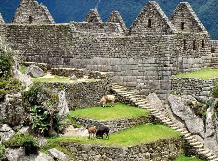 Em 1911, ele liderou uma expedição à procura da 