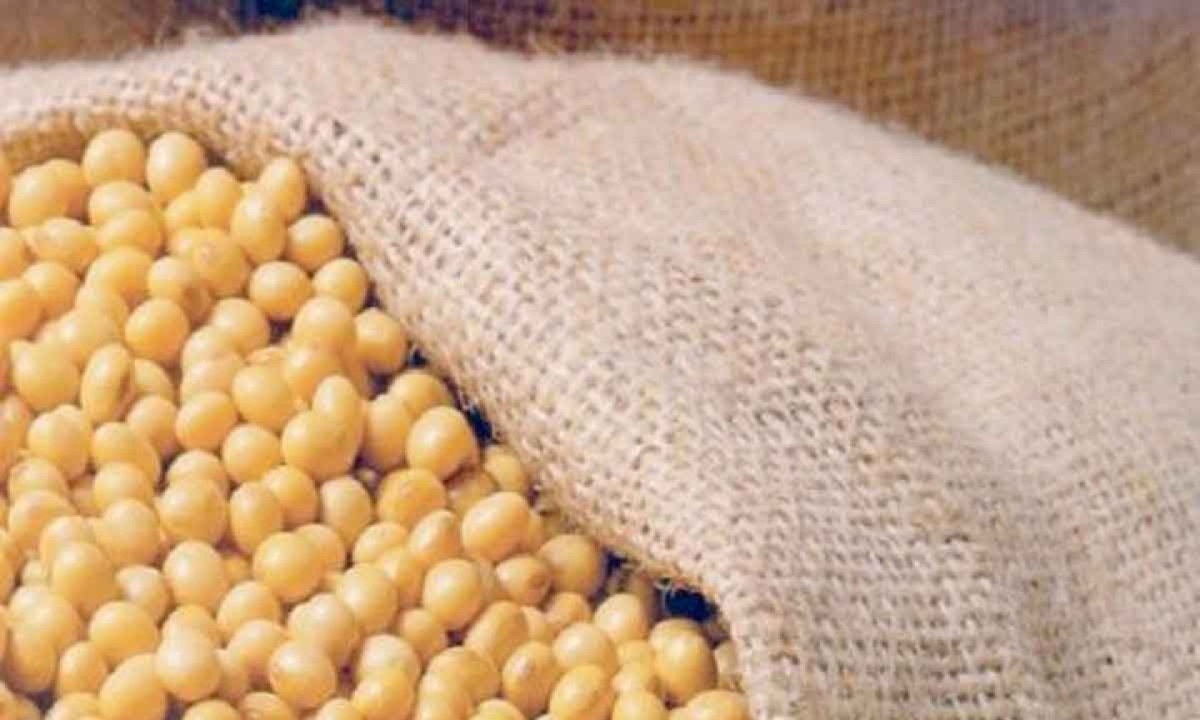 Soja: a obsessão de Donald Trump por novas tarifas deve, em breve, atingir o agronegócio - (crédito: SEAPA/DIVULGAÇÃO) Soja: a obsessão de Donald Trump por novas tarifas deve, em breve, atingir o agronegócio - (crédito: SEAPA/DIVULGAÇÃO)