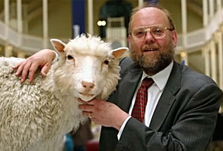Um dos criadores da ovelha Dolly, o cientista britânico Ian Willmut morreu em setembro de 2023. A informação foi divulgada pela Universidade de Edimburgo, na Escócia, onde ele era professor e patrono.