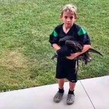 Menino captura animal pensando ser um frango, mas se surpreende -  Reprodução de vídeo Reddit