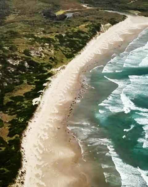 O local do encalhe, próximo a Arthur River, é de difícil acesso e está em uma área culturalmente importante para os aborígenes.