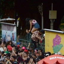 Carnaval 2025: Parque Municipal sofre danos após passagem de bloco do Alok - Túlio Santos/EM/D.A Press