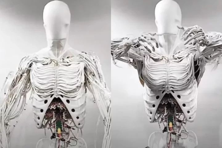 Eles inclusive já desenvolveram outro modelo, o — sinistro — androide Alpha, que terá 279 unidades lançadas em 2025. Os preços ainda não foram divulgados. 