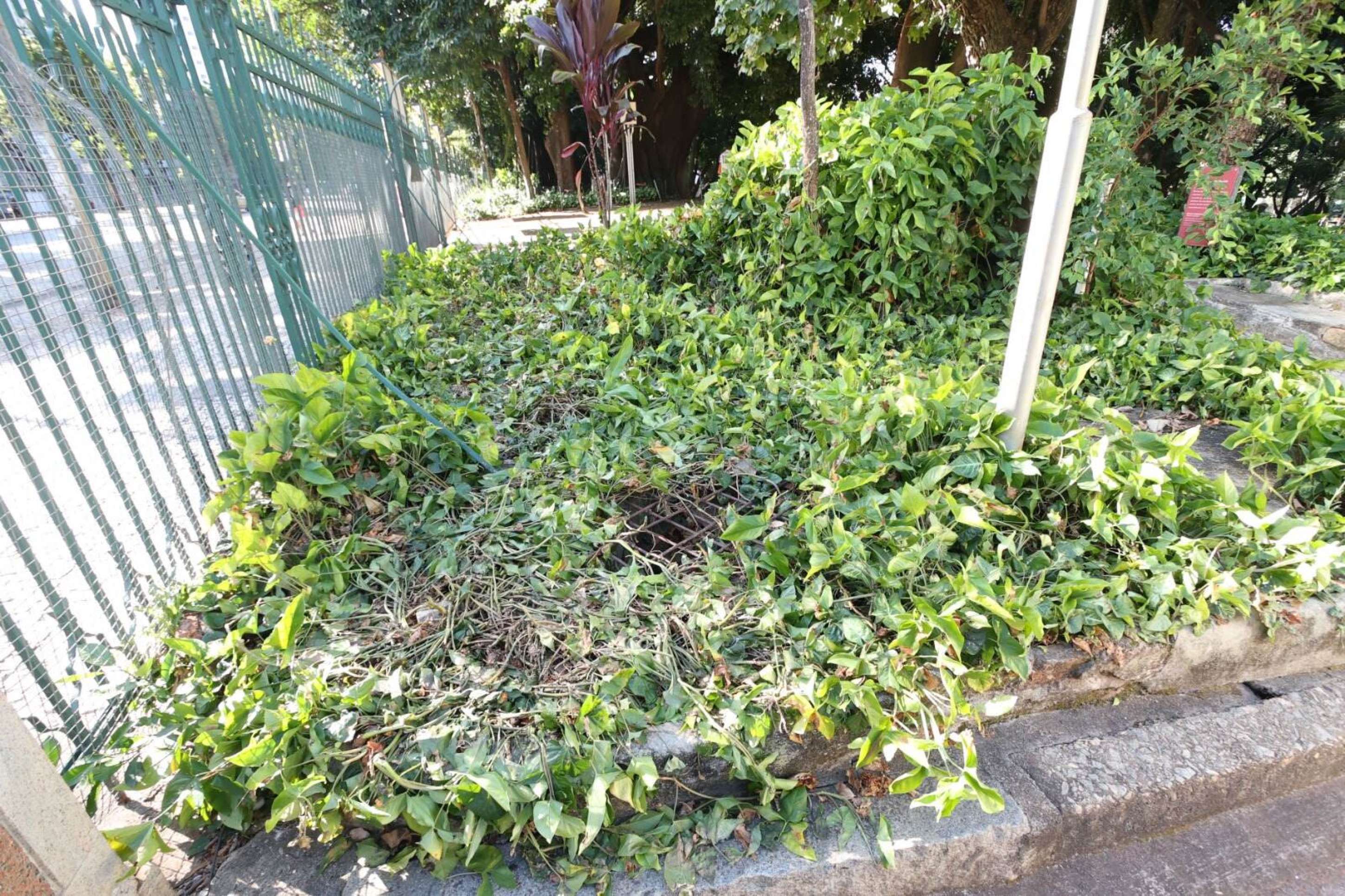Foliões danificam grades do Parque Municipal durante desfile do bloco Pipoquinha do Alok, que contou com uma multidão estimada em 500 mil pessoas-Marcos Vieira/EM/D.A Press