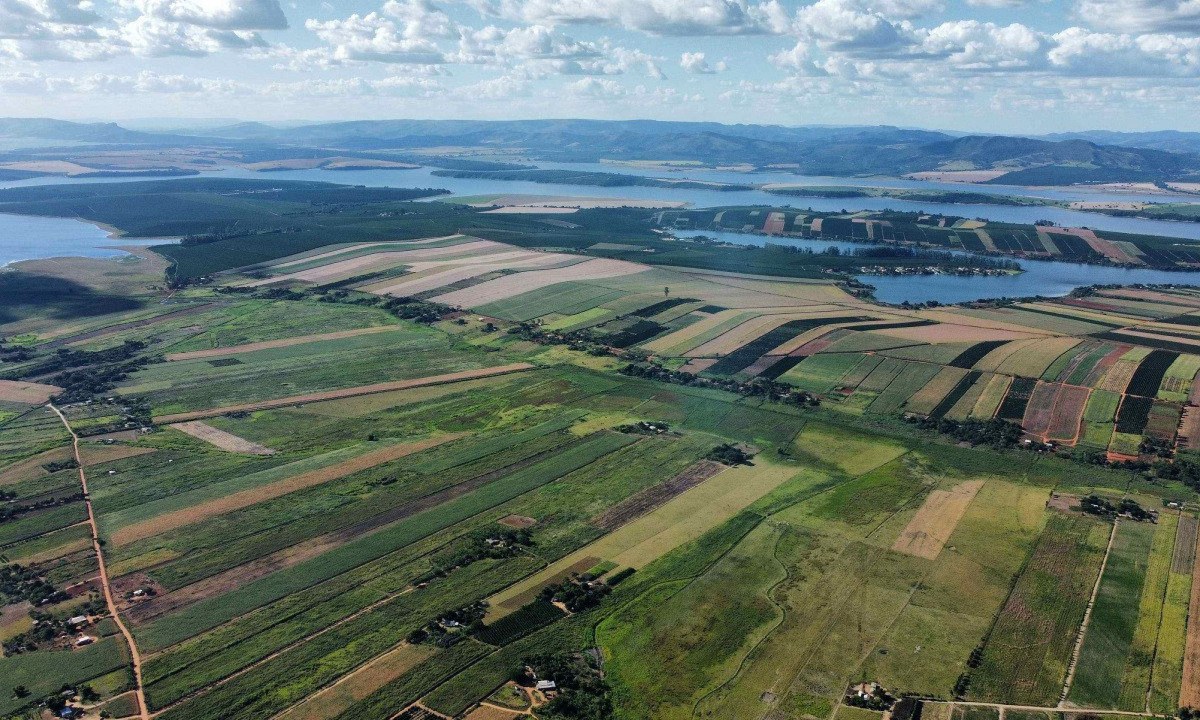 Além do Acampamento Quilombo Campo Grande, outras seis áreas devem entrar no decreto de desapropriação do governo federal-Leandro Couri/EM/D.A.Press
