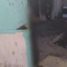 MG: tutor é suspeito de pendurar cão em portão; animal agonizou até a morte - Reprodução