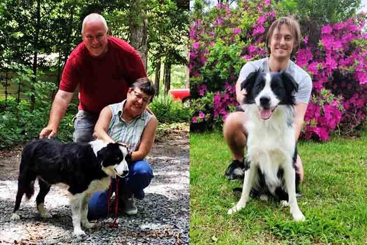 AlÃ©m de sua aptidÃ£o para o trabalho, Ã© um cÃ£o extremamente afetuoso. Seu vÃ­nculo com a famÃ­lia Ã© forte, e ele aprecia a interaÃ§Ã£o constante. Deixar um Border Collie sozinho por longos perÃ­odos pode gerar ansiedade.