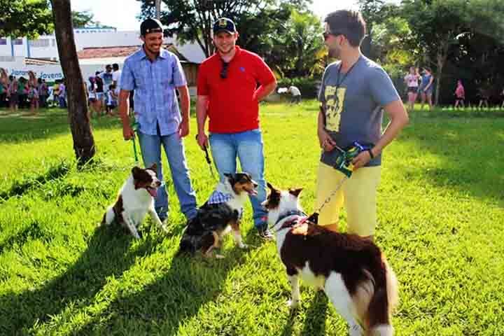 Com os estímulos adequados, o Border Collie se torna um cão exemplar. Seja no trabalho ou como companheiro, sua lealdade e disposição são inigualáveis. Quem escolhe essa raça tem um parceiro fiel e incansável para toda a vida.