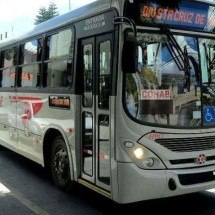 Cidade de Minas vai implantar tarifa zero no transporte público - Crédito/Reprodução Redes Sociais 