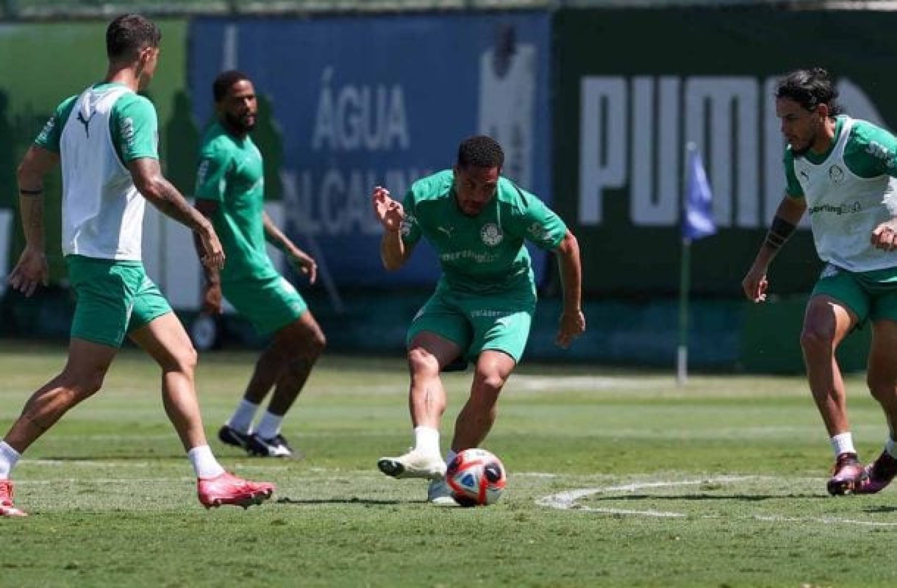 Palmeiras deve ter ‘equipe ideal’ para encarar o São Paulo no Paulistão