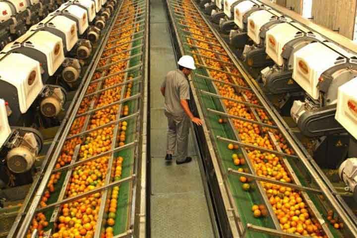 A laranja também é vantajosa para a saúde da pele. Os antioxidantes presentes nela ajudam a combater os danos causados pelos radicais livres, que podem acelerar o envelhecimento da pele, além de combater manchas, rugas e até mesmo câncer de pele.