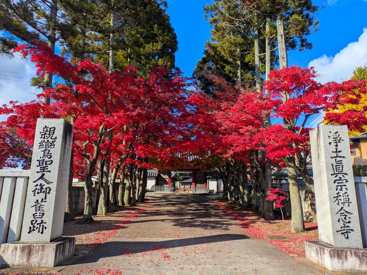 Sendai – Miyagi, 1 milhão de habitantes. A maior cidade do norte do Japão, Sendai é famosa por seus festivais e pela comida local. O Castelo de Sendai, o Templo Zuihoden e o Parque Aoba são atrações da cidade.


