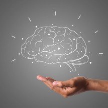 Conexão entre inteligência e o mundo externo impulsiona aprendizado e inovação - DINO