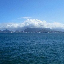 "Invasão" de mexilhões-verdes na Baía de Guanabara preocupa especialistas - wikimedia commons/Marcio Sette