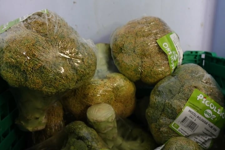 Na França, desde o início de 2024, pessoas e empresas resíduos alimentares corretamente em pontos da cidade a fim de transformar esse material em biogás ou composto para substituir fertilizantes químicos.-reprodução