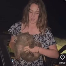 Turista posta foto com filhote de wombat e é criticada - Redes Sociais/Reprodução