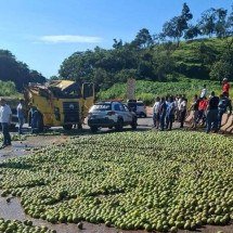 Acidente com caminhão de laranjas fecha BR-040, perto de Ouro Preto - Redes sociais