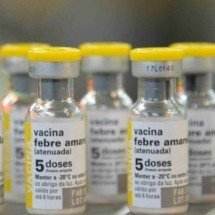 Minas registra mais uma morte por febre amarela em 2025 - Rovena Rosa/Ag&ecirc;ncia Brasil