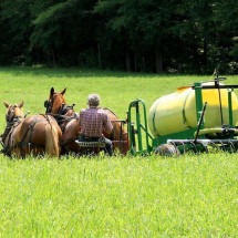 Por que agricultores dos EUA estão usando xixi em suas plantações