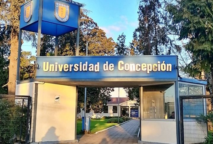 Pesquisadores da Universidade de Concepción, no Chile, identificaram duas populações na região de Araucanía.