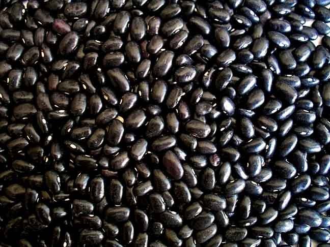 Embora em menor quantidade, o feijão preto também contém ômega 3, contribuindo para a sua ingestão. Uma fonte rica e fibras, proteínas e outros nutrientes essenciais, que contribui para uma dieta equilibrada.