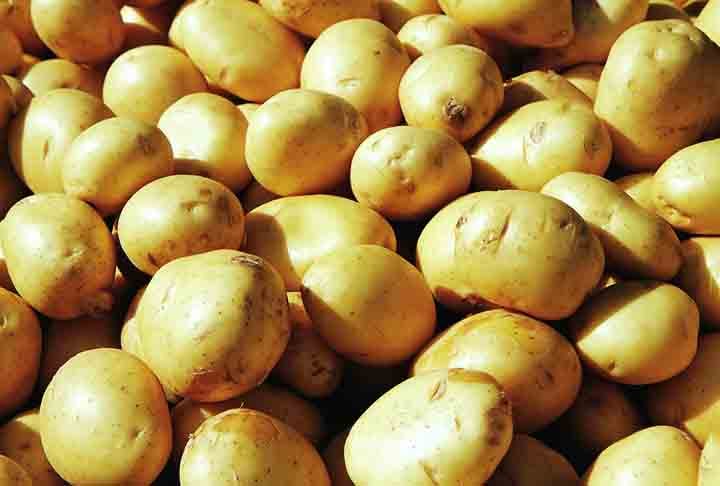 Além do seu sabor, a batata é rica em vitaminas, fibras, antioxidantes e nutrientes. Ela se destaca por ser um alimento de rápido e fácil preparo, sendo um petisco que agrada o paladar de adultos e crianças.