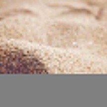 Existem diferentes tipos de areia pelo planeta. Confira a variedade -  Imagem de Luisella Planeta LOVE PEACE ???????? por Pixabay