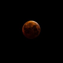 Eclipse total da Lua admirado em diversos continentes - Brandon Bell / GETTY IMAGES NORTH AMERICA / Getty Images via AFP
