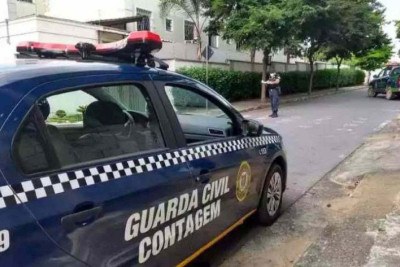 Agentes da Guarda Civil de Contagem receberam denúncia de uma moradora da região e atenderam ocorrência -  (crédito: Divulgação/Guarda Municipal de Contagem)