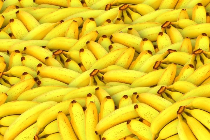 Em agosto de 2024, outra variedade de banana foi notícia por um estudo científico. Pesquisadores podem ter encontrado uma forma de evitar a extinção da banana Cavendish, a mais consumida no mundo. No Brasil, essa espécie é conhecida como banana nanica ou banana d'água. 