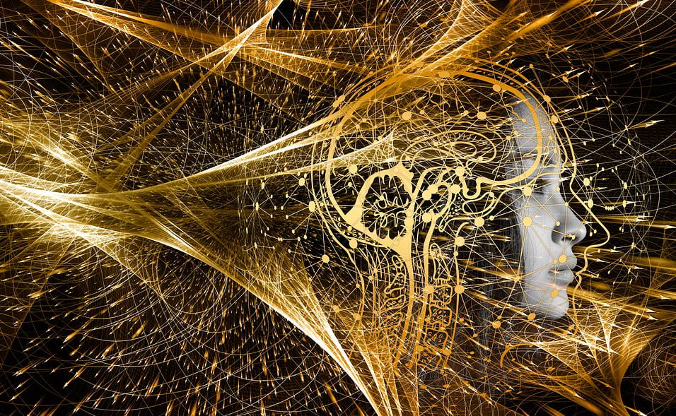 O ômega 3 é um componente vital das membranas celulares do cérebro, promovendo a comunicação entre as células nervosas e potencialmente melhorando a cognição.