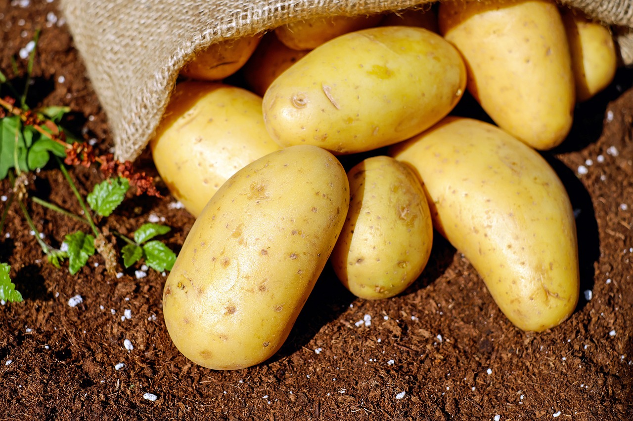 A batata, conhecida também como inglesa, é um tubérculo com ótimas quantidade de fibras e amido resistente. Ela contém boas quantidades de polifenóis, flavonoides e antocianinas, que são compostos com propriedades antioxidantes e anti-inflamatórias. 
