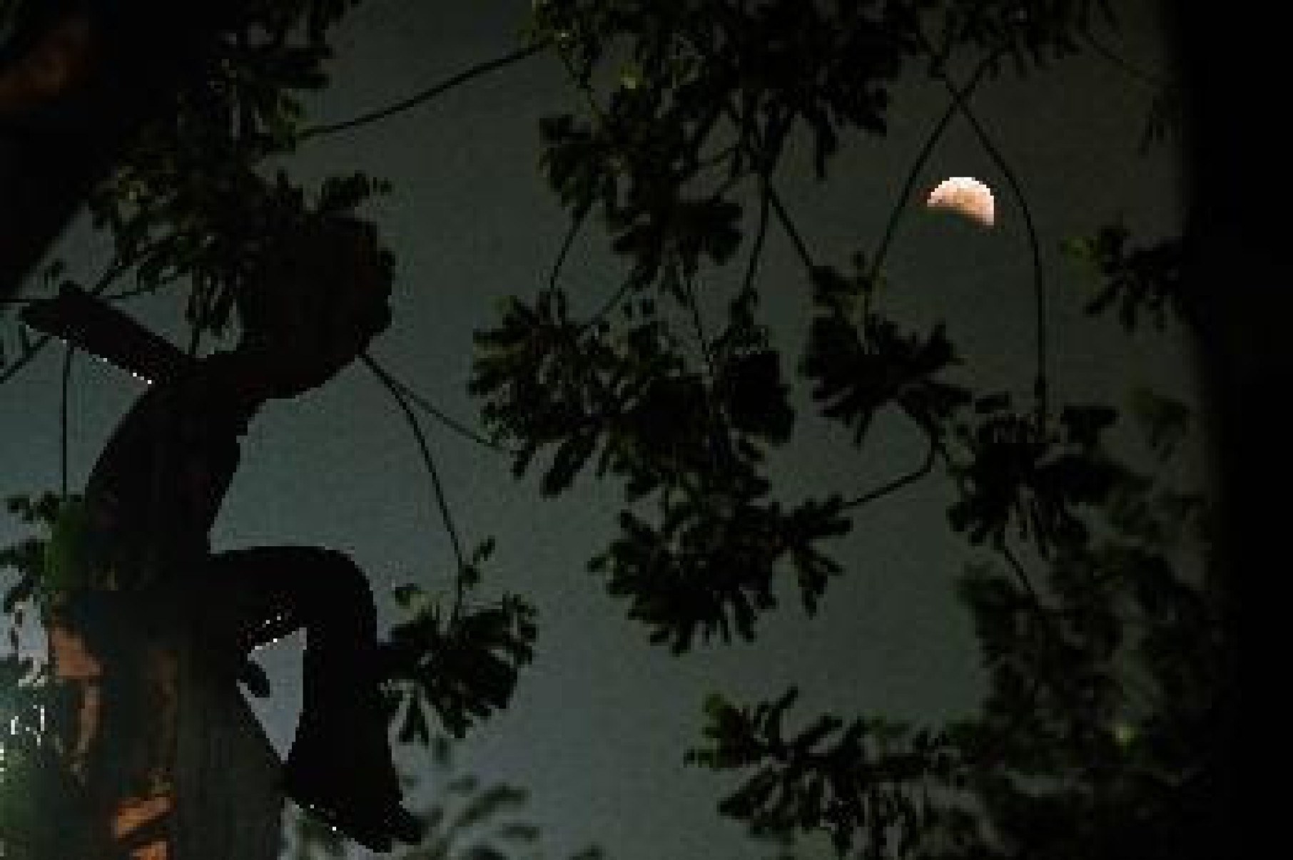 FenÃŽmeno ocorre cerca de duas vezes por ano, quando o Sol, a Terra e a Lua, em sua fase cheia, estÃ£o perfeitamente alinhados
