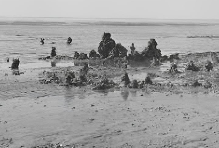 Agora, ruÃ­nas de Rungholt foram descobertas a partir de anÃ¡lises geofÃ­sicas feitas pelos arqueÃ³logos.