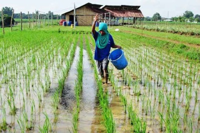 A utilização de urina como fertilizante tem se mostrado uma alternativa viável e sustentável para a agricultura. No estado de Vermont, nos Estados Unidos, um programa inovador liderado pelo Instituto Terra Rica tem coletado e utilizado a urina de moradores locais para fertilizar plantações. -  (crédito:  Flickr Center for Bayanihan Economics)