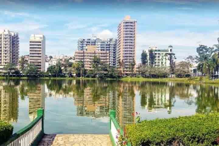 Rica em enxofre, cÃ¡lcio, ferro, zinco e magnÃ©sio, ela Ã© capaz de acelerar o processo de renovaÃ§Ã£o celular, alÃ©m de nutrir, purificar e cicatrizar a pele. 