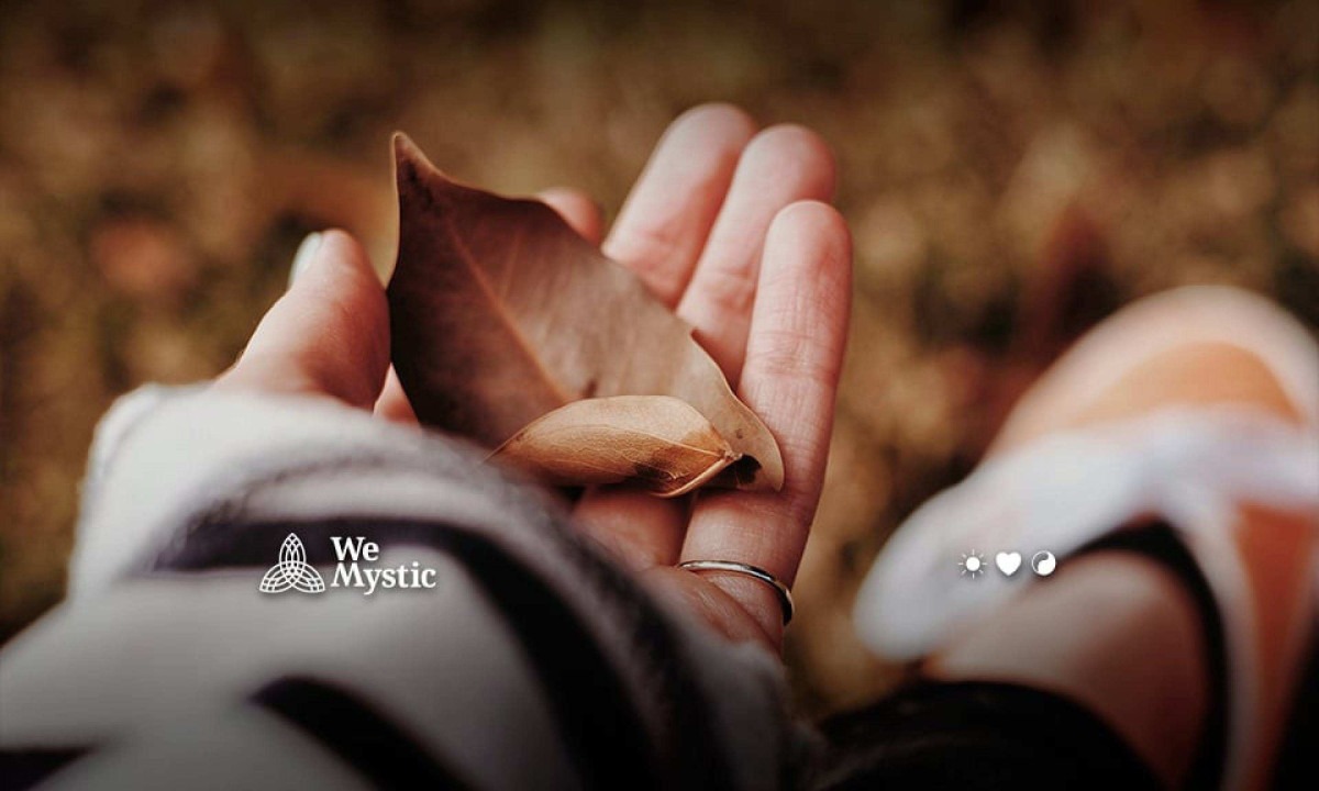 O paradoxo da vida: por que o mundo funciona ao contrário? -  (crédito: Wemystic)