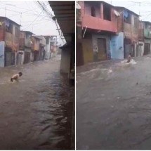 Homem se arrisca ao tentar atravessar enchente na Vila Samag, em Contagem - Redes Sociais / Reprodução