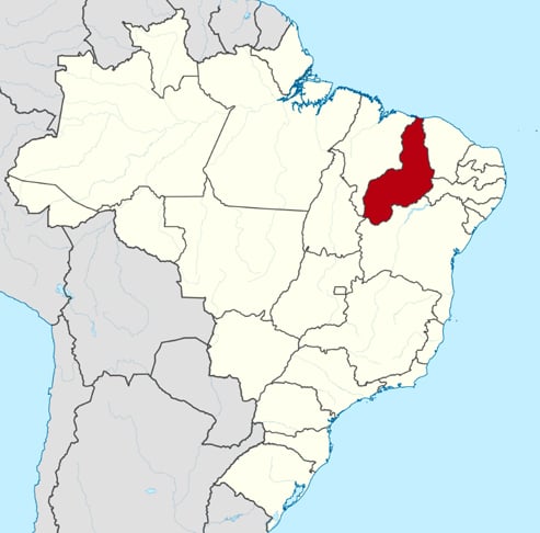 Riquezas do Piauí: paisagens, achados arqueológicos e nativos ilustres